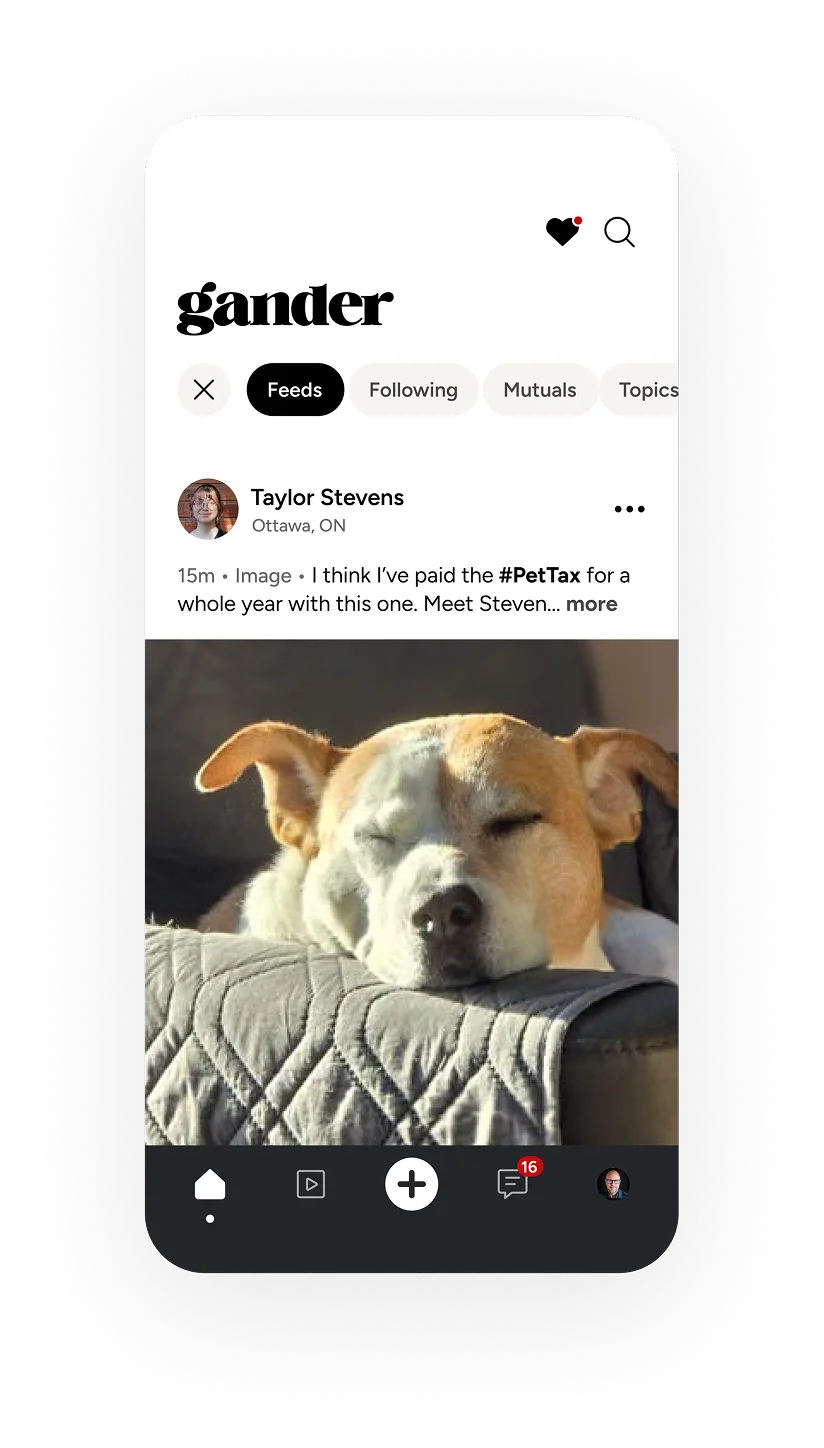 Gander Feeds feature with customizable feed tabs