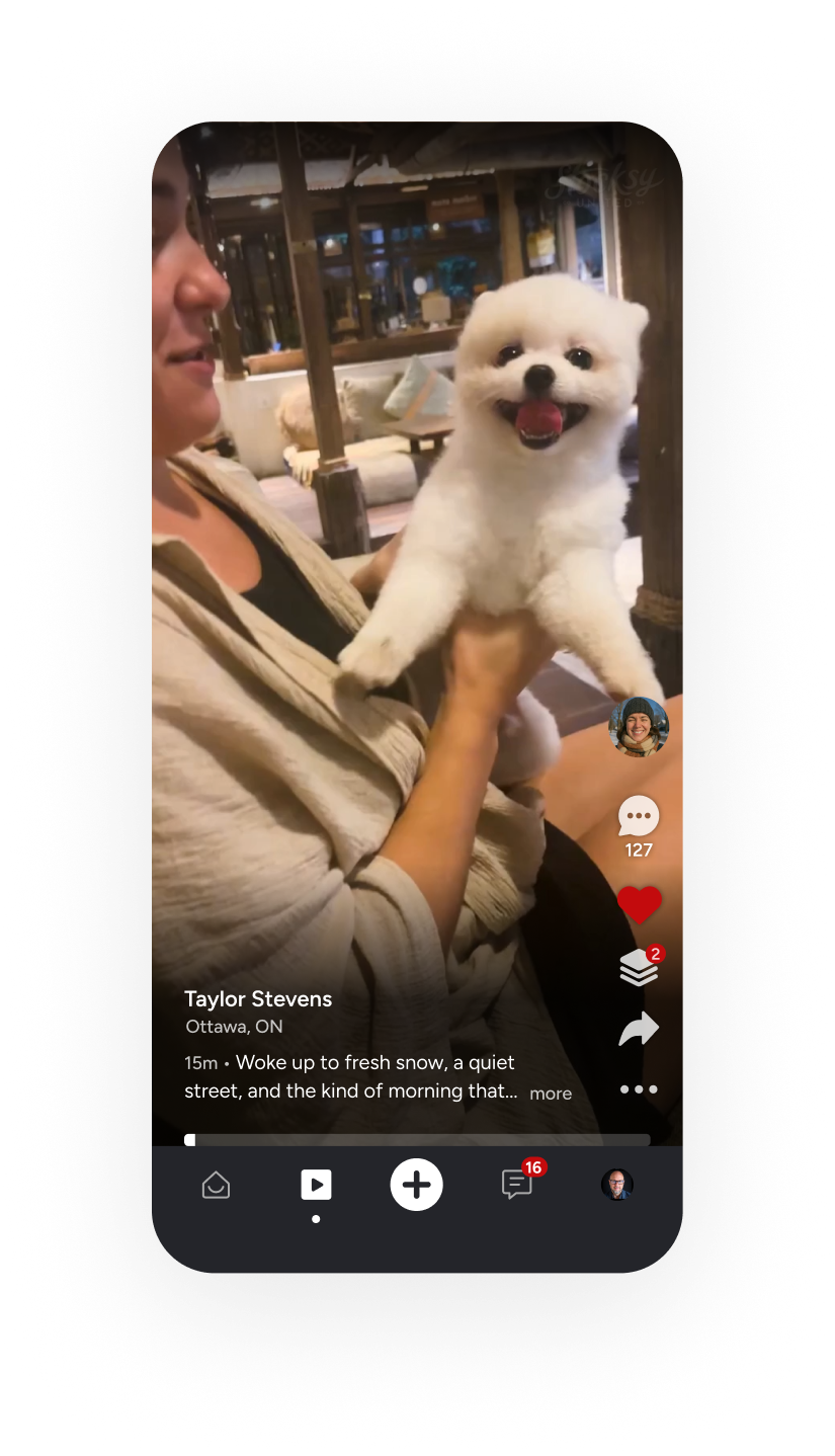 Gander Flicks vertical video feed