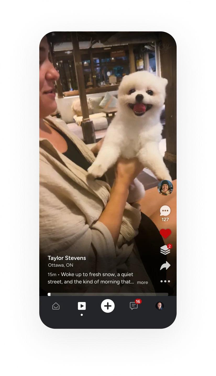 Gander Flicks vertical video feed